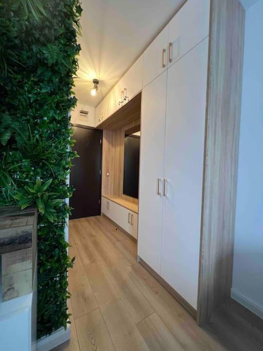 Cosy Appartement Green Life Bansko Extérieur photo