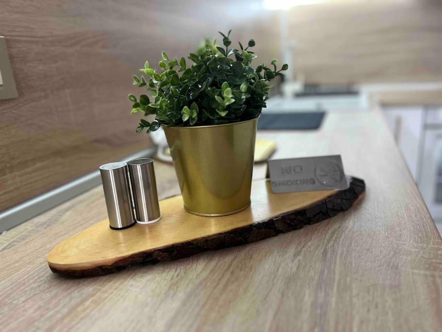 Cosy Appartement Green Life Bansko Extérieur photo