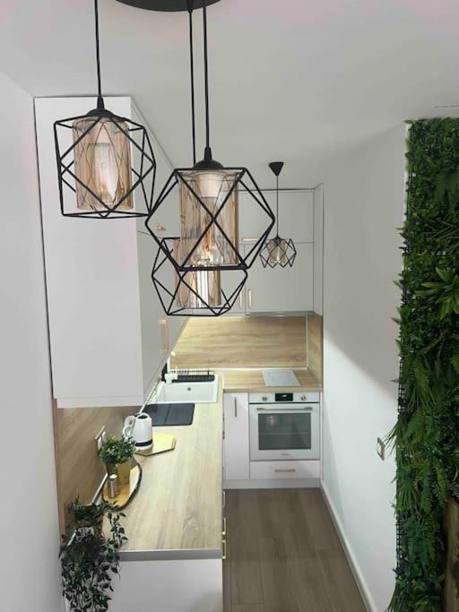 Cosy Appartement Green Life Bansko Extérieur photo